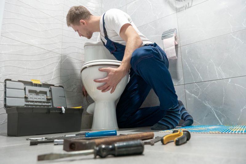 Toilet Repair